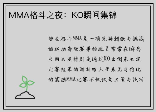 MMA格斗之夜：KO瞬间集锦