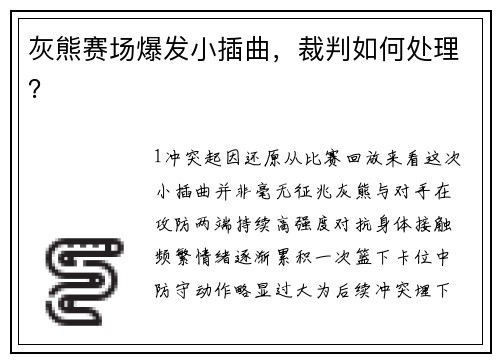 灰熊赛场爆发小插曲，裁判如何处理？